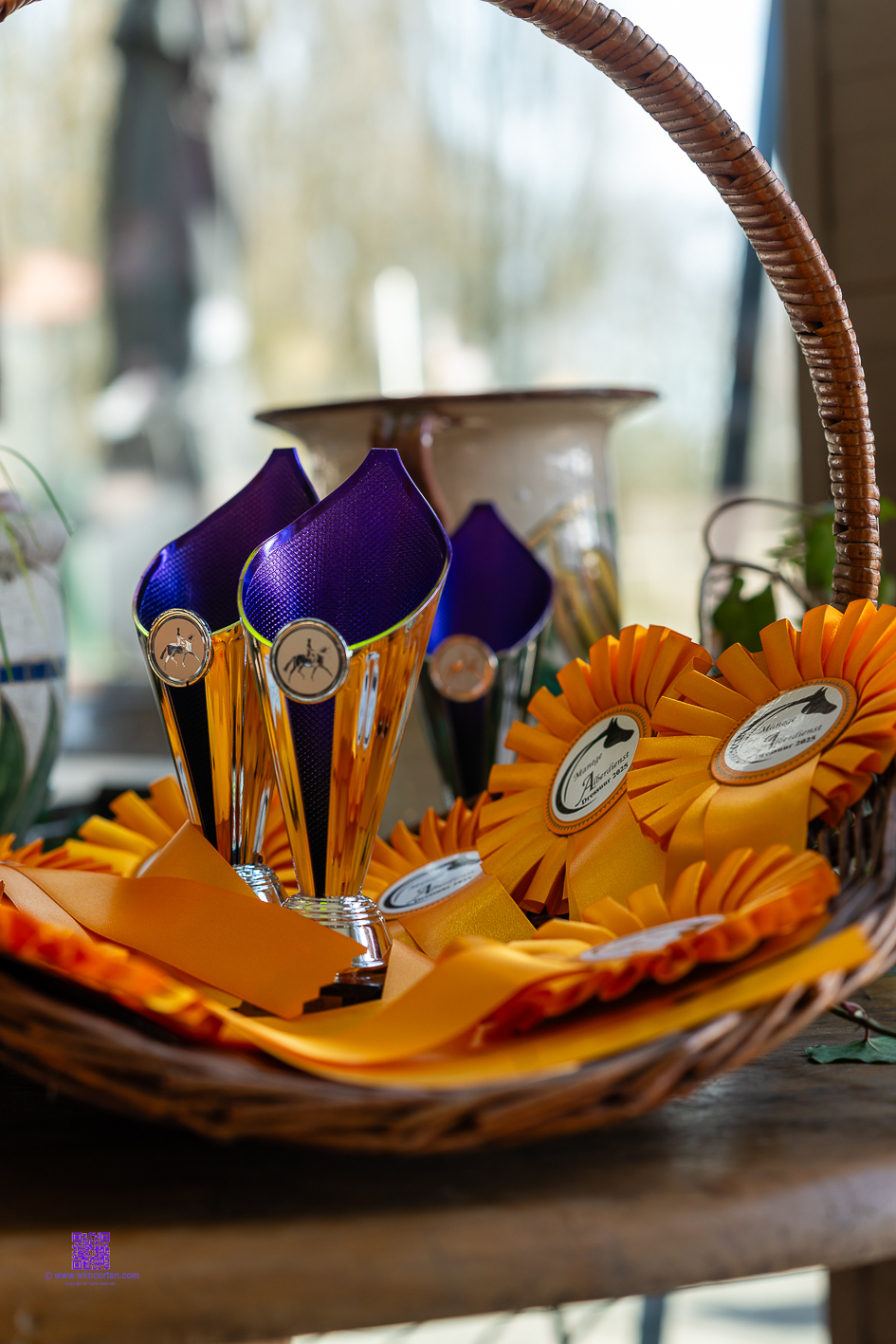 Reportage Dressuur wedstrijd