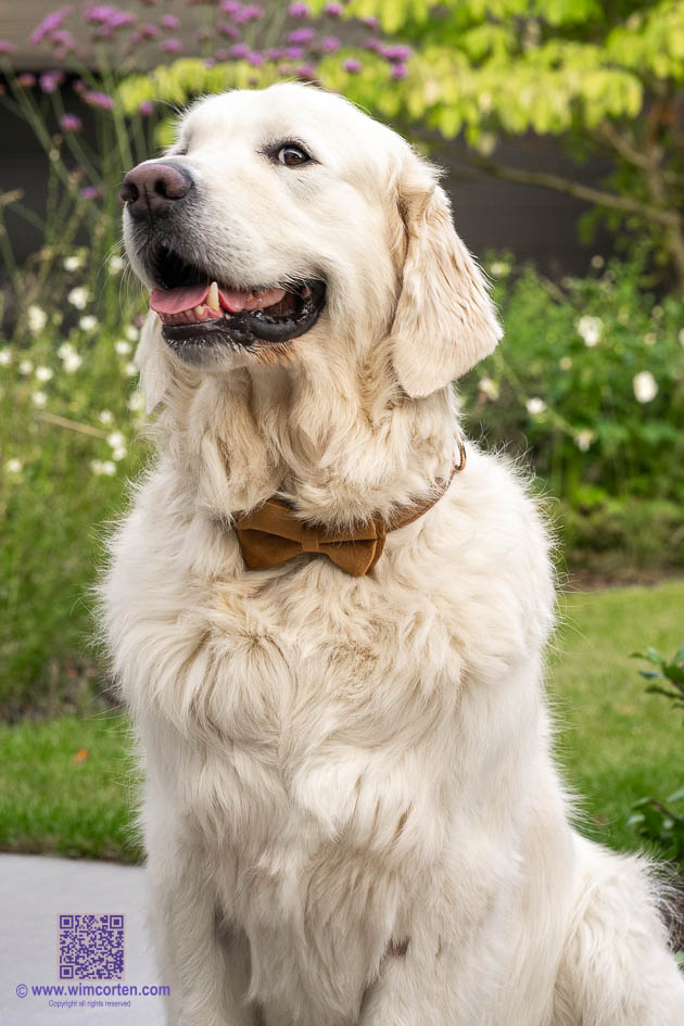 Reportage: Huwelijk de rode hoeve